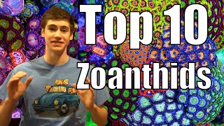Top 10 Zoanthids and Palythoas for Saltwater Reef Tanks!