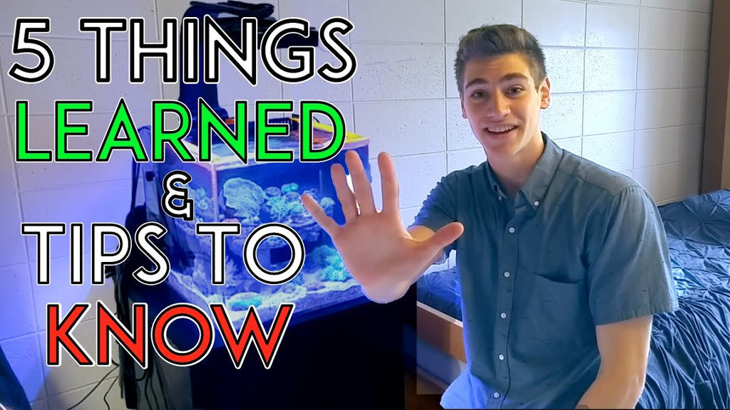 5 Things I Learned as a College Reef-Keeper!