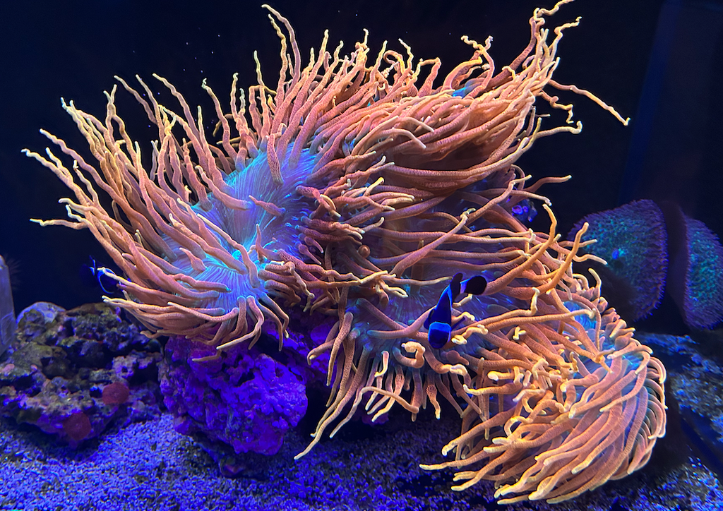 The Importance of Filtration Media and Water Flow